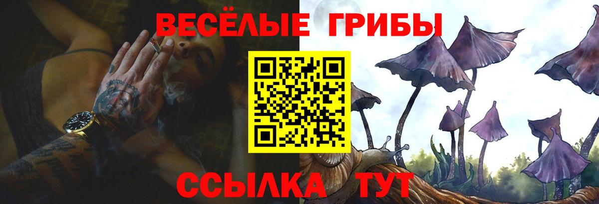 Коряжма  Псилоцибиновые грибы MAGIC MUSHROOMS  Вход с VPN 